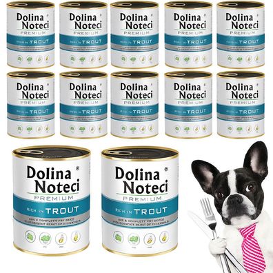 DOLINA NOTECI Premium Forelle adulte Hunde alle Rassen 12x800 g