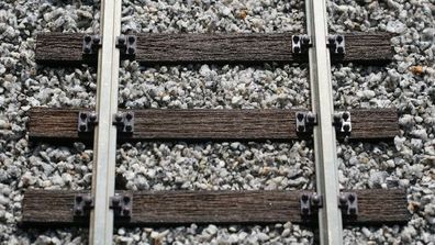 KM1 300211 Echtholzgleis gebogen R=2461mm 10° Spur 1