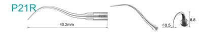 P21R Ultraschallspitze passend für EMS