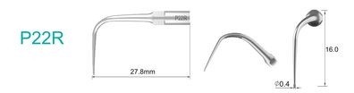 P22R Ultraschallspitze passend für EMS