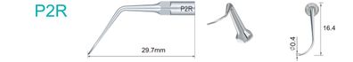 P2R Ultraschallspitze passend für EMS