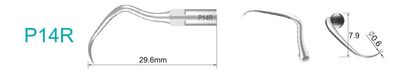 P14R Ultraschallspitze passend für EMS