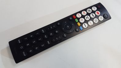Original Hisense Fernbedienung EN2P36H