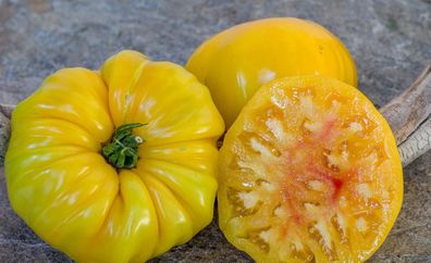 Fleischtomate Southern Pride 5+ Tomatensamen P 691