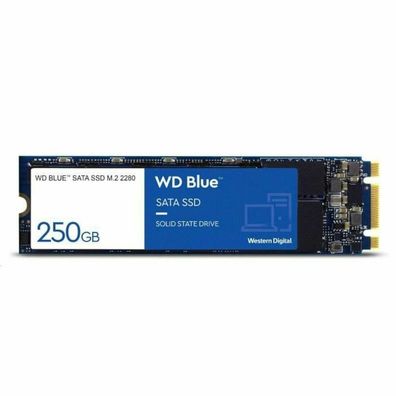 Blue SA510 500 GB (blau/weiß, SATA 6 Gb/s, M.2 2280)