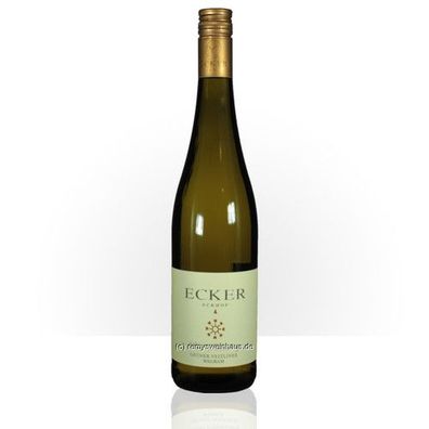 Weingut Ecker - Eckhoff 2023 Grüner Veltliner 'Ried Schlossberg' Wagram 0.75 Li