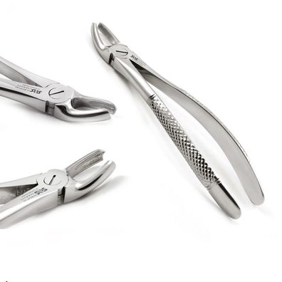 Zahnzange, Obere Molaren links, Fig. 17