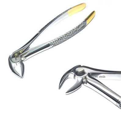 Diamantierte Zahnzange, Wurzeln, Fig. 33