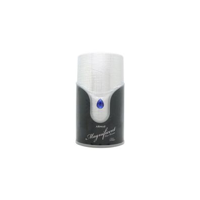 Armaf Magnificent Blue Pour Homme Eau de Parfum 100 ml