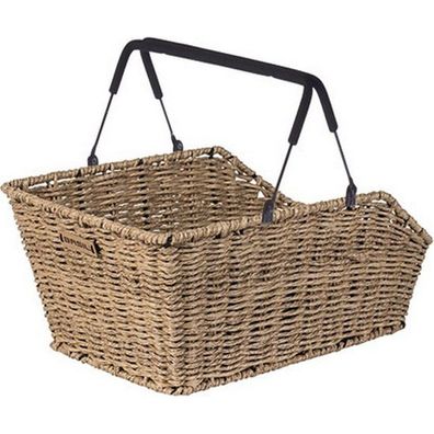 Basil - 11340 - Seagrass