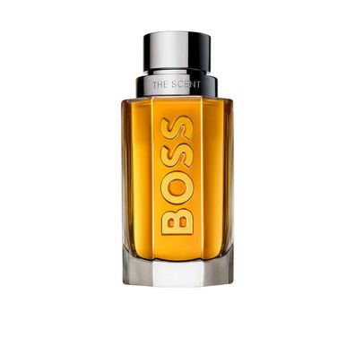 THE SCENT edt vapo 100 ml