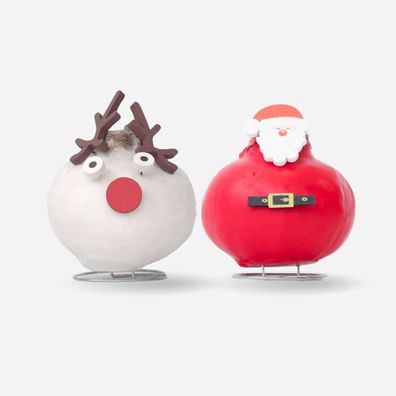 Hippeastrum 'Wax Special Santa Mix' - Amaryllis - Satz von 2 - Ø15cm - 20-40cm