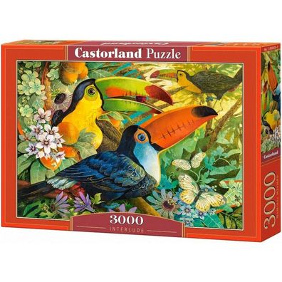 Castorland Puzzle Bunte Tukane 3000 Teile