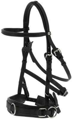 NORTON Breiter Kappzaum Leder