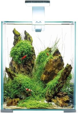Aquael Shrimp Set Day & Night - 10 Liter weiß 20x20x25cm Nano Aquarium Garnelen