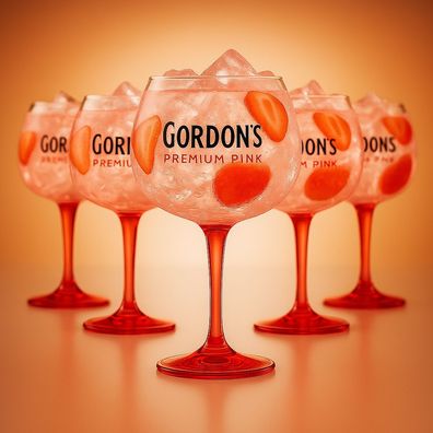 Gordon´s Premium Pink Ballongläser - 6er Set | Copa Cocktailgläser | Gin Tonic Gläser