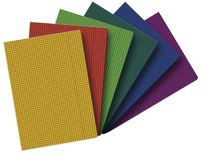 Landré® 100050584 Diarie (Kladde) - Größe: A4, Folio, geheftet, kariert/Rand, 40 Blat