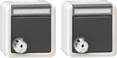 1St. Gira 456030 Set 2x Steckdosen 16 A 250 V mit Klappdeckel, gleichschließendem Sc