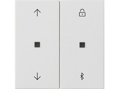 1St. Gira 536727 S3000 Jalousie- und Schaltuhr BT System 55 Reinweiß seidenmatt