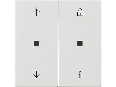 1St. Gira 536703 S3000 Jalousie- und Schaltuhr BT System 55 Reinweiß glänzend