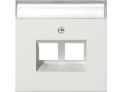 1St. Gira 2640112 Abdeckung 30° + mit Beschriftungsfeld f. Tragring MJ 2fach Flächens