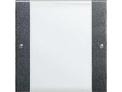 1St. Gira 213128 Wippenset 1fach mit Beschriftungsfeld System 55 Klar/Anthrazit