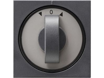 1St. Gira 066628 Abdeckung Knebel Zeit und Jalousie System 55 Anthrazit