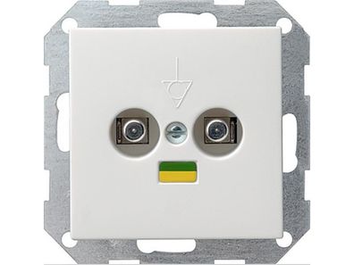 1St. Gira 040503 Potentialausgleich 2fach System 55 Reinweiß glänzend