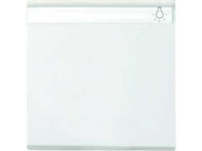 1St. Gira 029903 Wippe Beschriftungsfeld System 55 Reinweiß glänzend