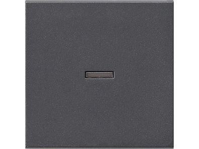 1St. Gira 029028 Wippe Kontrollfenster System 55 Anthrazit