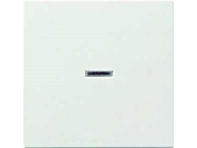 1St. Gira 029027 Wippe Kontrollfenster System 55 Reinweiß matt