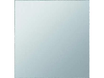 1St. Gira 009930 Ersatzscheibe WG Aufputz