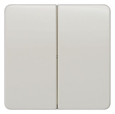 1St. Siemens 5TG7805 DELTA profil Wippe 2-fach neutral 65x65mm titanweiss