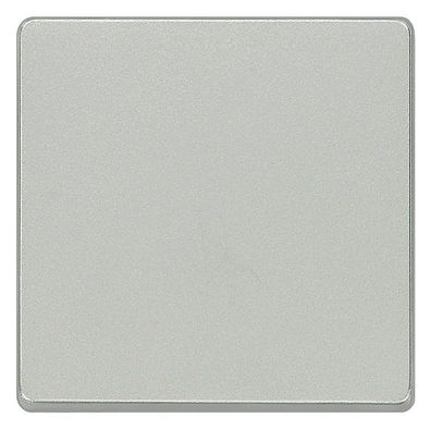 1St. Siemens 5TG6241 DELTA i-system Wippe neutral, aluminiumm