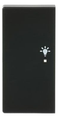 1St. Busch-Jaeger 6231-21-885 Wippe, 2-fach links, mit Symbol Licht Busch-free@home s