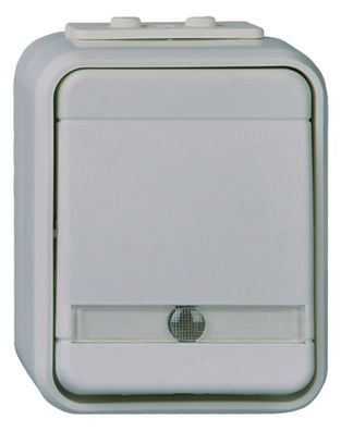 1St. Elso ELG441619 Universal-Schalter beleuchtet 10A AquaTop Steckklemme licht/basal