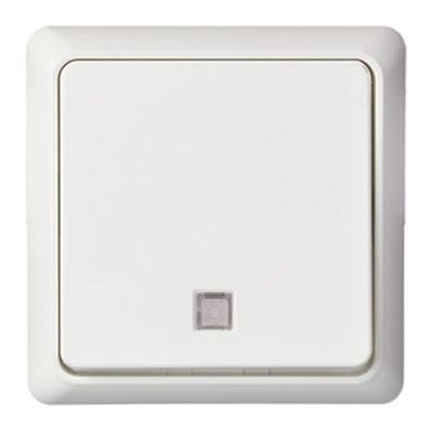 1St. Elso 252130 Taster beleuchtet 10A Renovierung komplett Schraubklemme perlweiß