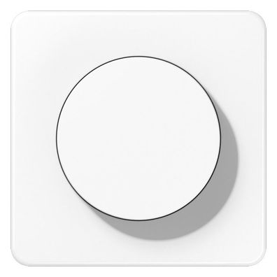 1St. Jung Abdeckung m. Drehknopf CD1740WW