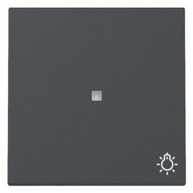 1St. Gira 367428 Wippe Kontrollfenster + Symbol Licht System 55 anthrazit