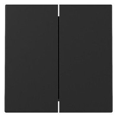 1St. Gira 3295005 Wippe 2-fach System 55 Schwarz matt