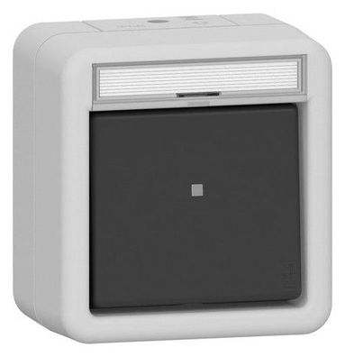 1St. Gira 311630 Wipp-Kontroll AusWe BSF WG AP Grau