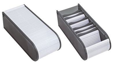 Wedo 250 8012 Lernkartei A8 für 500 Karten, inkl. 100 Karten, grau