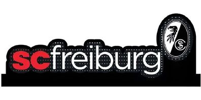 FC Augsburg Fca-Mirror Led Licht 2023507