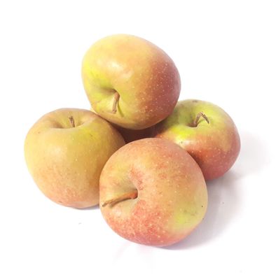 Äpfel Boskoop Boskop vom Bodensee säuerlicher Apfel 1-10 KG