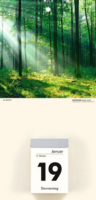 Zettler 609772 Kalenderrückwand Gebirge 14,5 x 29,5 cm 4-fach sortiert