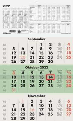 Zettler 609780 3-Monats-Wandkalender 956 - 29,7 x 48,5 cm, Recyclingpapier