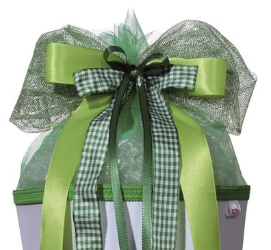 Roth 679292 Schultütenschleife LED Green Lights - gebunden