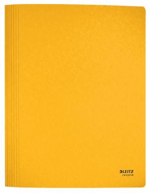 Leitz 3904-00-15 3904 Schnellhefter Recycle - A4, 250 Blatt, kfm. und Amtsheftung, Ka
