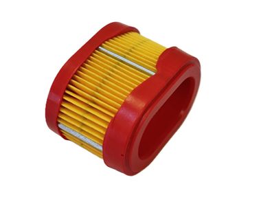 Luftfilter passend für Briggs & Stratton 790166 698867 100-834