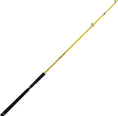 Illex Ashura Spinnrute Element Rider X5 S240 M-H Yellowshot